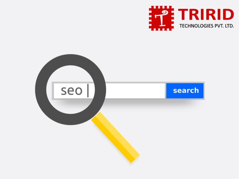 SEO Services in ahmedaaad, india at tririd.png