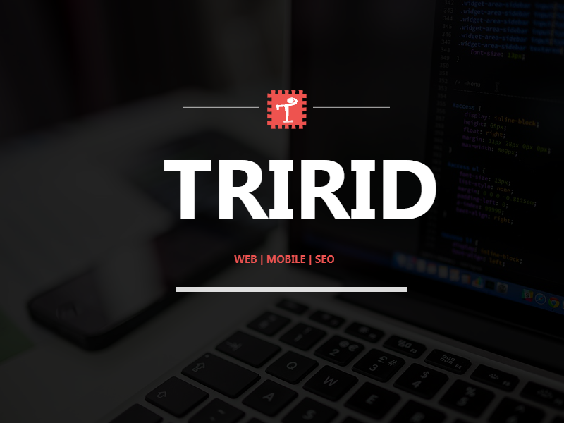 Tririd Software Company.png