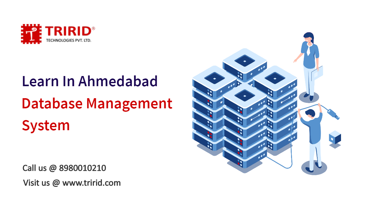 database-management-at-tririd